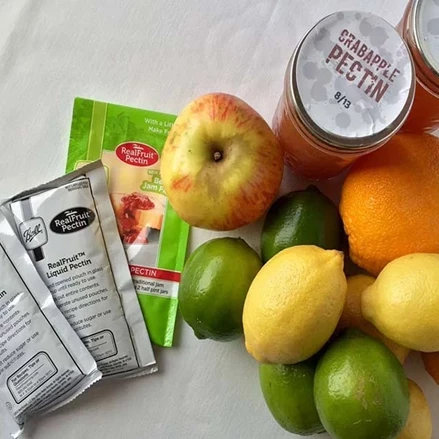 طرح توجیهی  تولید آنزیم پکتین استراز