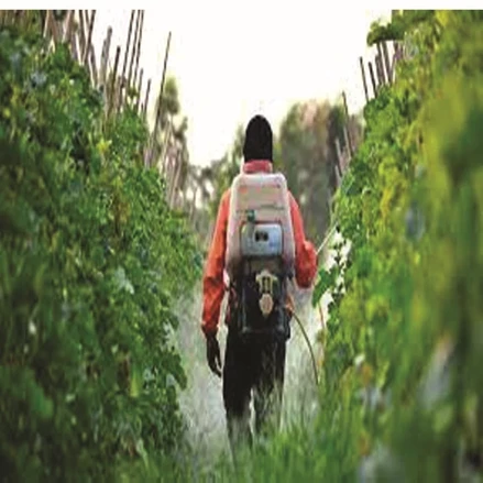 طرح توجیهی تولید سم دفع آفات نباتی