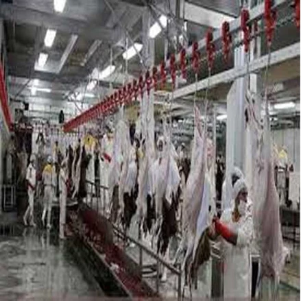 فایل پی دی اف طرح توجیهی احداث کشتارگان صنعتی دام 