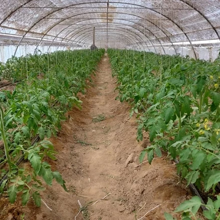 طرح توجیهی احداث گلخانه 2 با فرمتWORD